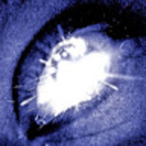 Meet your Posher, Jim